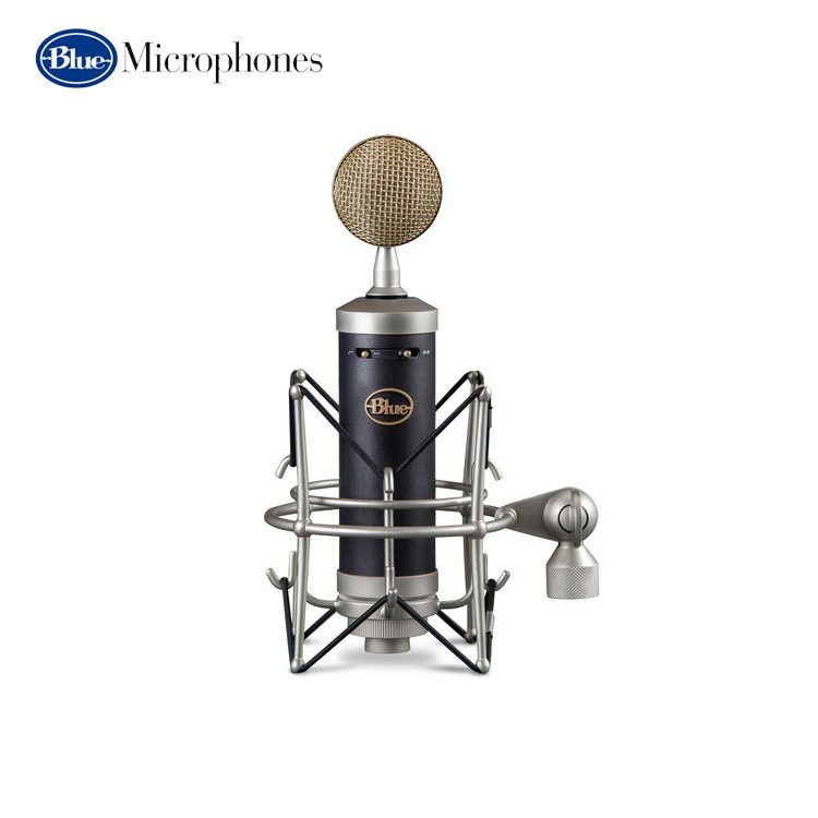 Blue Microphones Baby Bottle SL Large Diaphragm Studio Condenser Microphone Condenser Microphone IMG