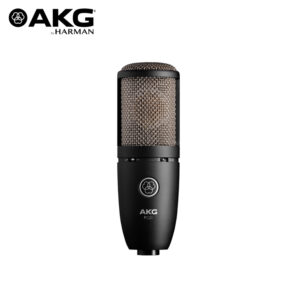 AKG P220 High Performance Large Diaphragm True Condenser Microphone Condenser Microphone IMG