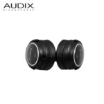 Audix A150 (5)
