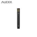 Audix ADX51-2