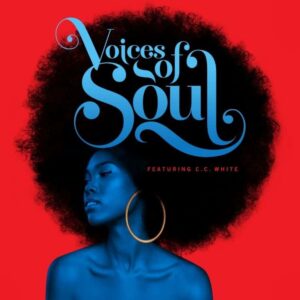 EastWest Sounds Voices of Soul VST/Audio Plugins IMG